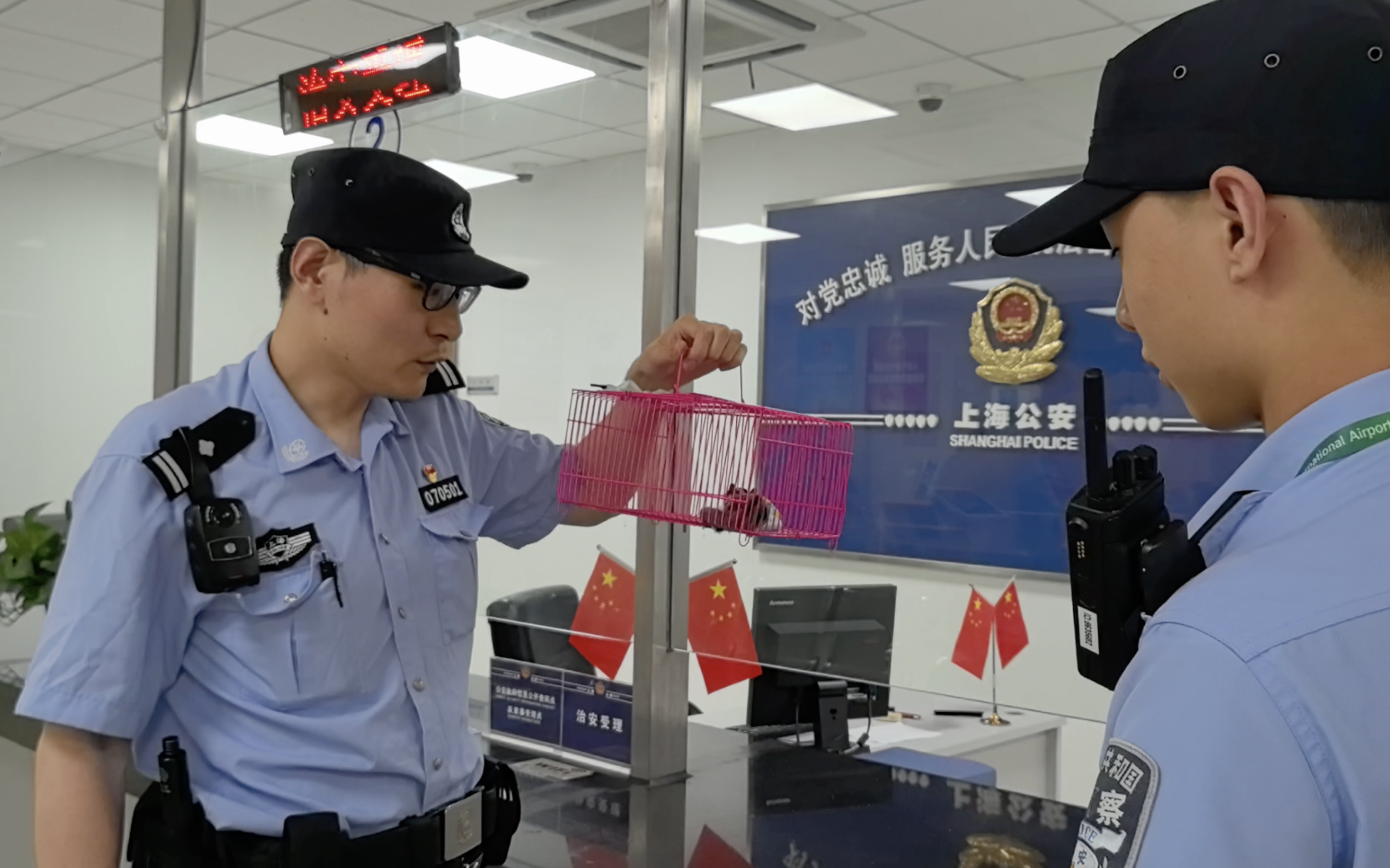 女子胸口藏蜜袋鼯登机致航班延误专家：影响飞行安全需担责(图2)
