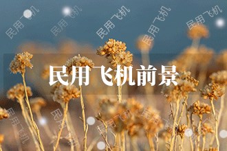 2024年民用飞机发展前景趋势预测(图1)
