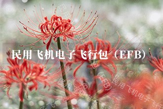 2024年民用飞机电子飞行包（EFB）发展前景趋势预测(图1)