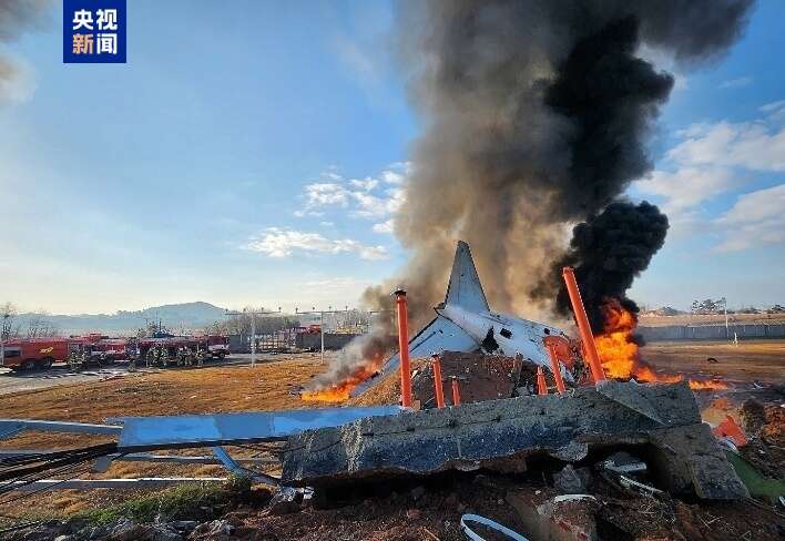 飞机撞击鸟类起落架无法工作这类情况非常危险最新专家分析→(图2)