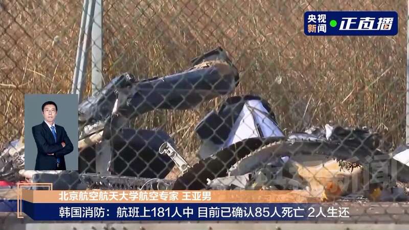 飞机撞击鸟类起落架无法工作这类情况非常危险最新专家分析→(图4)