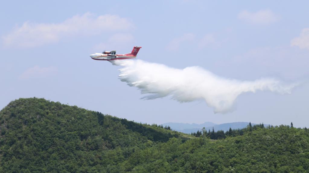 中国大型水陆两栖灭火飞机AG600获颁型号合格证(图2)