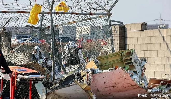 2024年末民航灾难三连击航空安全再敲警钟(图2)