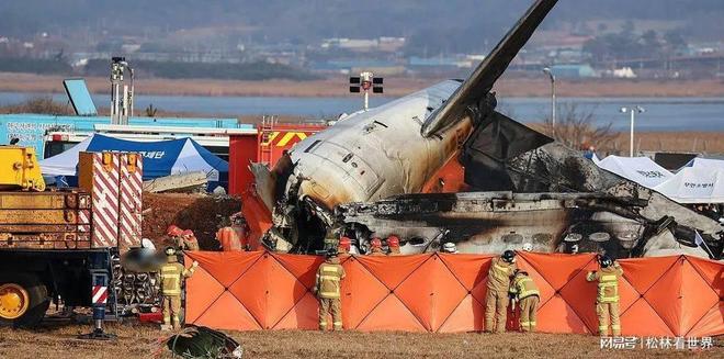 2024年末民航灾难三连击航空安全再敲警钟(图4)