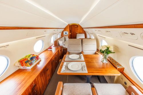 飞马精英航空（PegasusEliteAviation）推出搭载Starlink的湾流V公务机(图1)