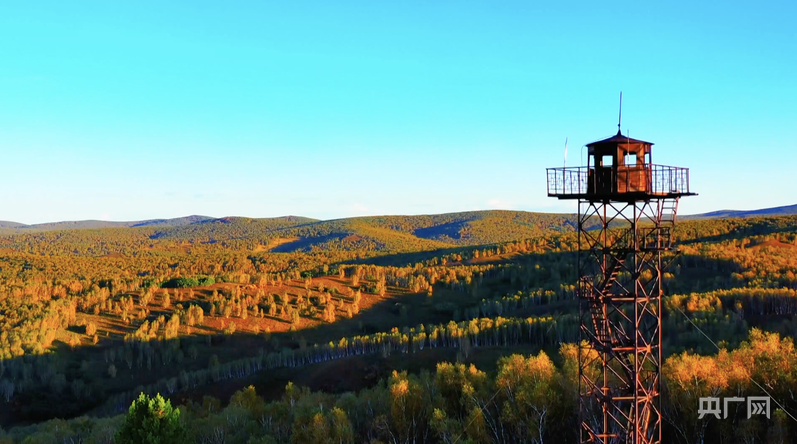 奋进内蒙古·发展有底气｜以“绿”为脉在呼伦贝尔读懂生态发展的方向(图2)