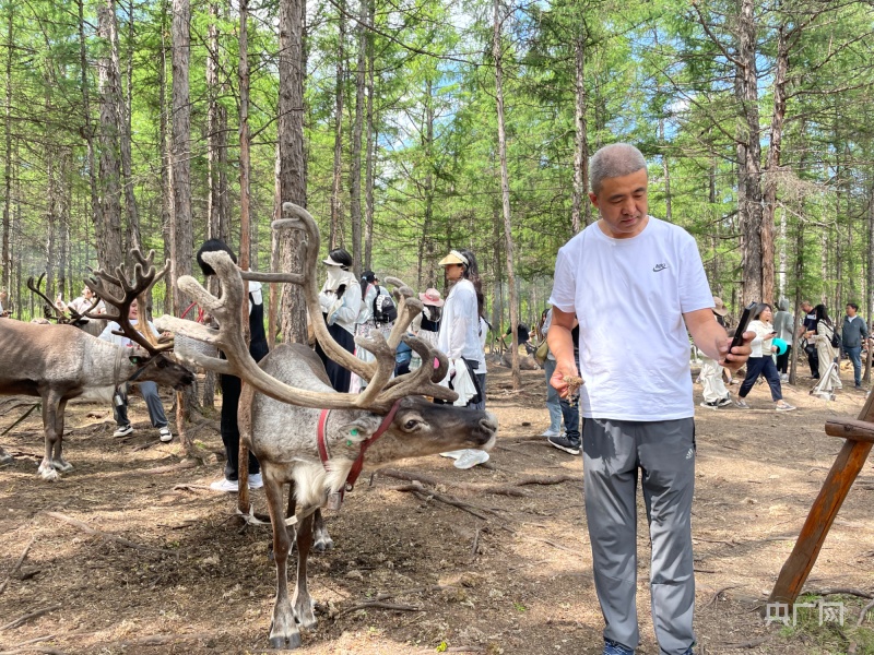 奋进内蒙古·发展有底气｜以“绿”为脉在呼伦贝尔读懂生态发展的方向(图5)
