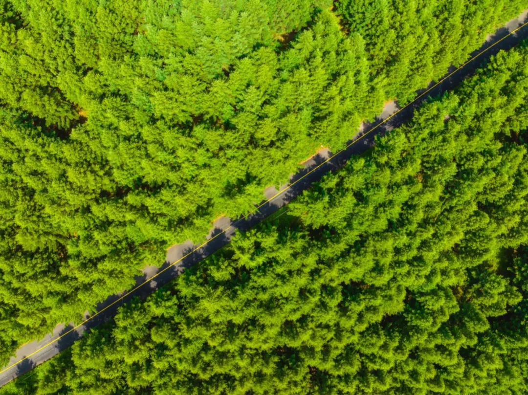 祝贺！2024全国十大最美自驾路河北有一条(图1)