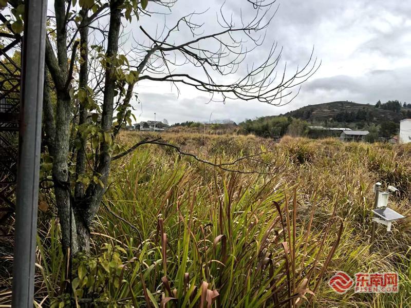 挖掘潜力解难题武夷山景区积极推进自驾游停车设施建设(图4)
