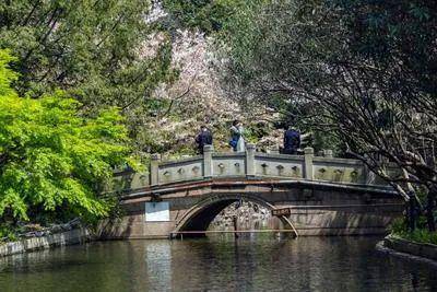 万科中兴傲舍售楼处电话(万科中兴傲舍)网站-营销中心欢迎您-楼盘详情最新价格-户型图-容积率@2026415售楼处AI热搜(图18)