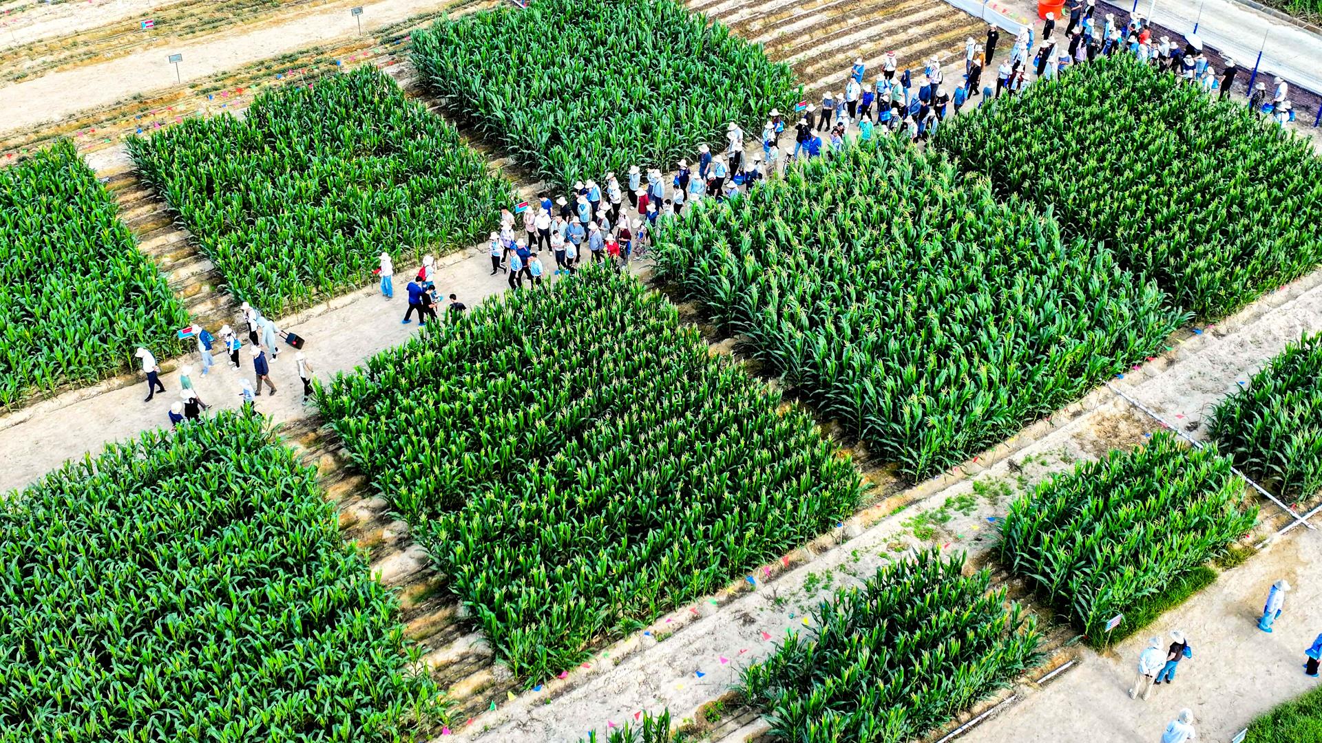 开局之年看中国丨开放自贸港海南新活力(图6)
