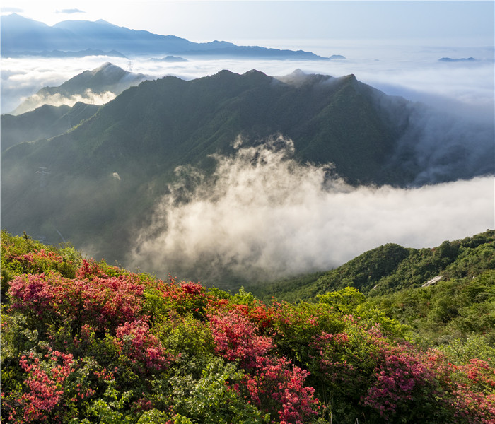 “宝藏”小城何以宁国？(图2)