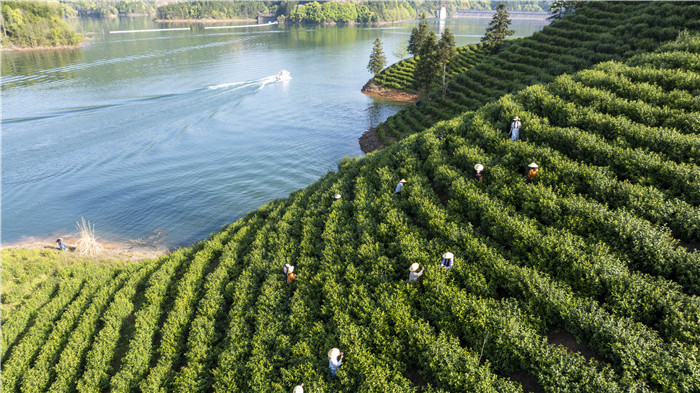 “宝藏”小城何以宁国？(图6)